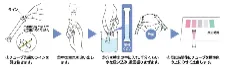 共立パックテスト - 水分析用 試験・簡易キット - 1102720100 -  画像 2