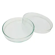 Standard petri dish 120x20mm 12020 - Color may vary - 1102124100161 - Image 1
