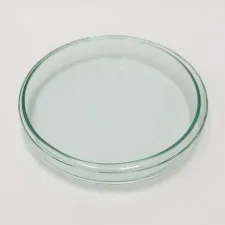 Standard petri dish 120x20mm 12020 - Color may vary - 1102124100161 - Image 2
