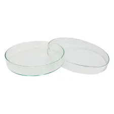 Standard petri dish 150x25mm 15025 - Color may vary - 1102124100171 - Image 1