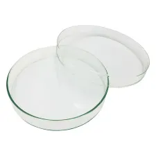 Standard petri dish 180x30mm 18030 - Color may vary - 1102124100181 - Image 1