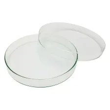 Standard petri dish 200x30mm 20030 - Color may vary - 1102124100191 - Image 1