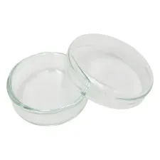 Standard petri dish 40x12mm 14946 - Color may vary - 1102124100101 - Image 1