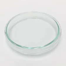 Standard petri dish 90x15mm 9015 - Color may vary - 1102124100141 - Image 2